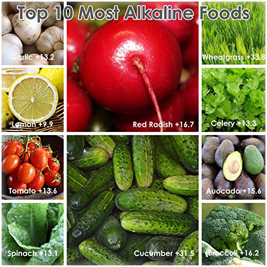 Top 10 Most Alkaline Foods
